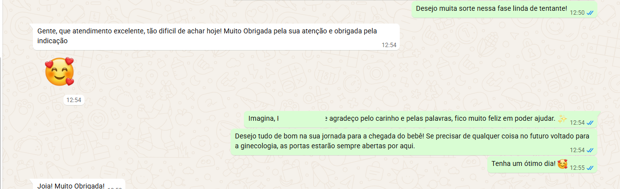 Conversa no WhatsApp